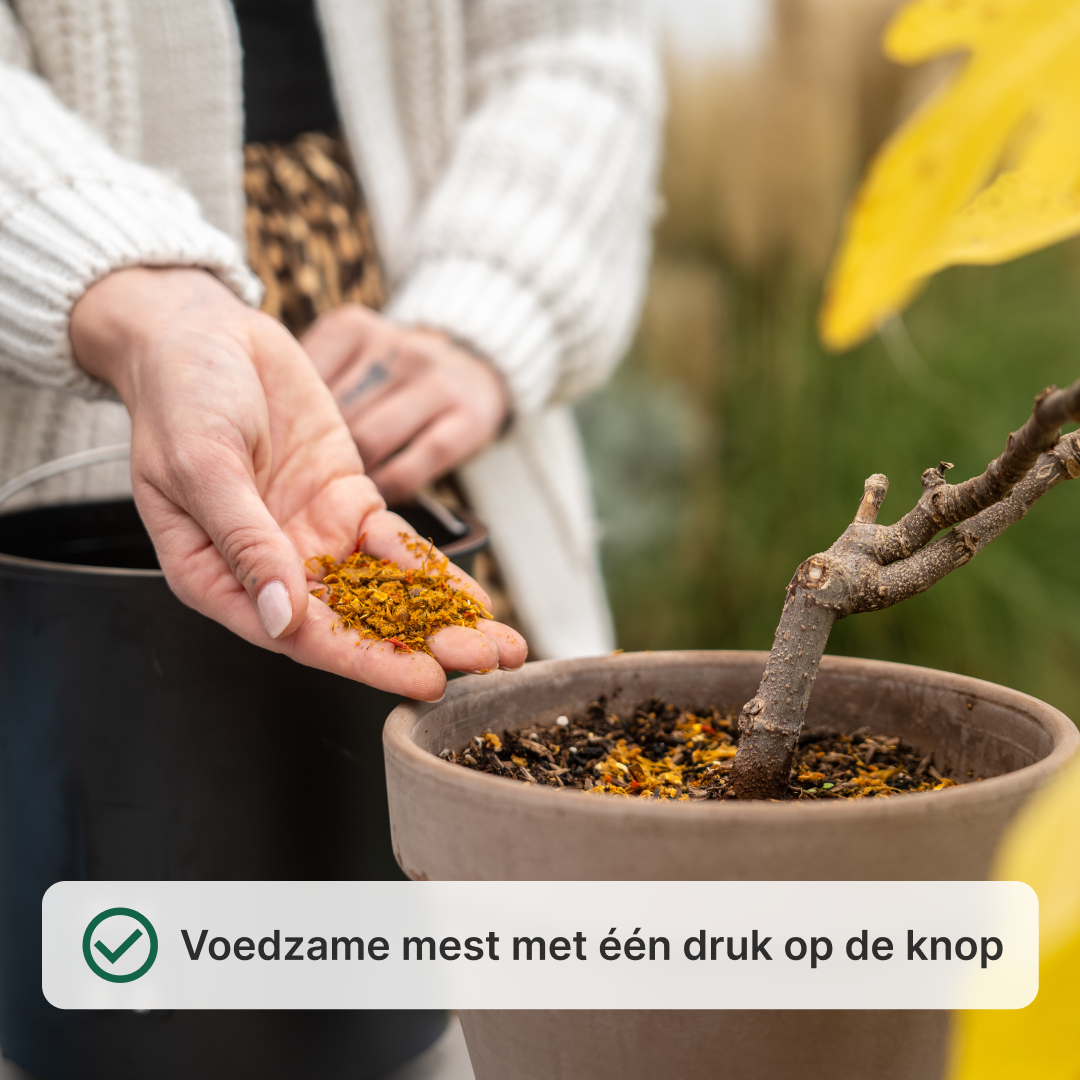 WeEarth 2.0 - De beste investering voor je keuken en tuin.